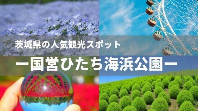 国営ひたち海浜公園の料金やイベント 花の見どころまとめ 茨城観光 グルメ情報ブログ イバトリ