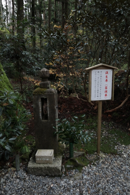 御岩神社のご利益やお守りの効果がすごい 日本最強パワースポット 茨城県日立市 茨城観光 グルメ情報ブログ イバトリ
