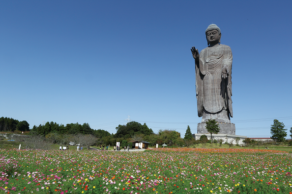 牛久大仏 高さ 比較