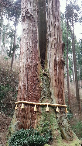 御岩神社 お守 御朱印
