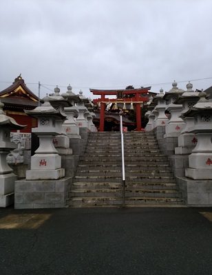 茨城 大杉神社 猫 お守り