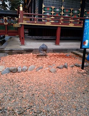 茨城 大杉神社 猫 お守り