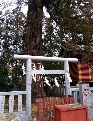 茨城 大杉神社 猫 お守り
