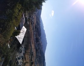 縁結び 茨城 常陸国出雲大社