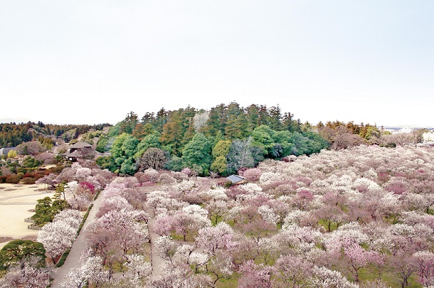 茨城 水戸 観光