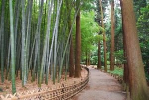 水戸 偕楽園 歩き方