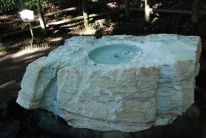 水戸 偕楽園 梅