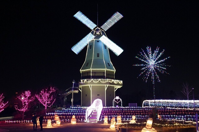 霞ヶ浦総合公園　イルミネーション　オランダ型風車前の広場　水郷桜イルミネーション