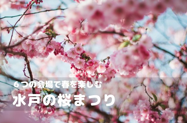 水戸の桜祭り 22年の開花状況 6つの会場である桜の名所の見所は 茨城観光 グルメ情報ブログ イバトリ