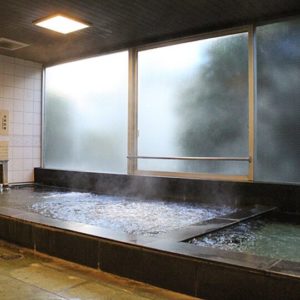 水戸 大洗 ひたちなか ホテル