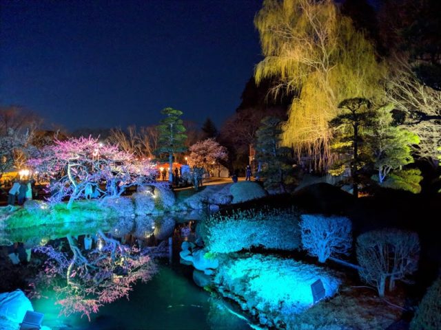 偕楽園のライトアップが毎日になった 何時までやる 夜の庭園とイベント情報 茨城観光 グルメ情報ブログ イバトリ