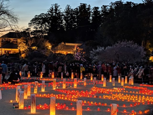 偕楽園のライトアップが毎日になった 何時までやる 夜の庭園とイベント情報 茨城観光 グルメ情報ブログ イバトリ