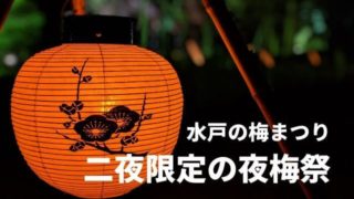 偕楽園 梅まつり ライトアップ