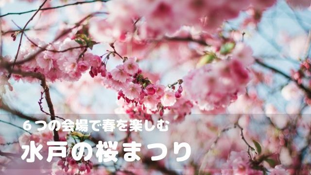 水戸　桜まつり