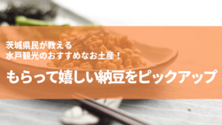 水戸観光 お土産 納豆