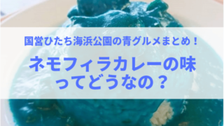 ネモフィラ ひたち海浜公園 ネモフィラカレー