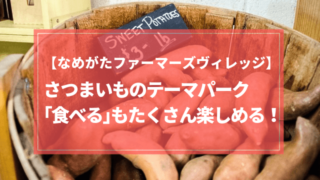 なめがたファーマーズヴィレッジ 詰め放題 レストラン