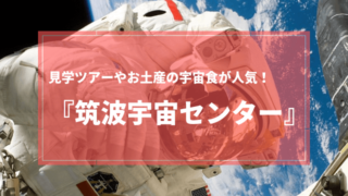 筑波宇宙センター 見学ツアー お土産