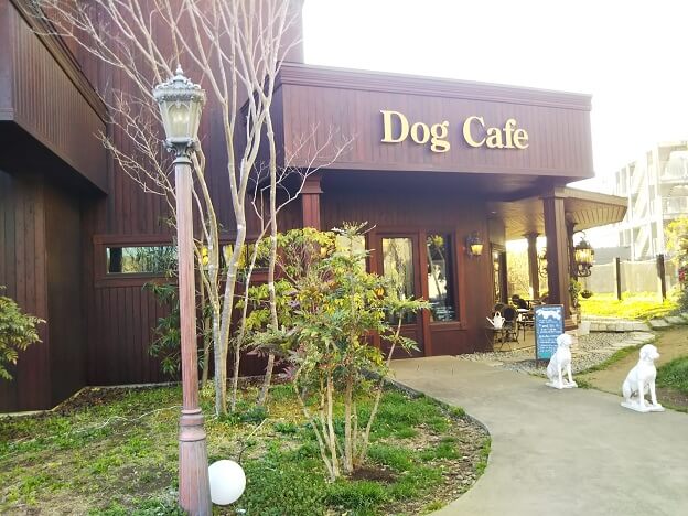 つくばのカフェを茨城県民が紹介 おしゃれ 老舗人気店７選 茨城観光 グルメ情報ブログ イバトリ