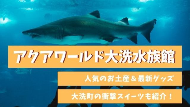 大洗水族館のお土産で人気no 1はぬいぐるみ 大洗土産のおすすめも紹介 茨城観光 グルメ情報ブログ イバトリ