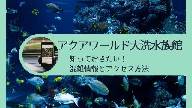 大洗マリンタワー 駐車場や料金 割引情報 毎月開催のフリマにも注目 茨城観光 グルメ情報ブログ イバトリ