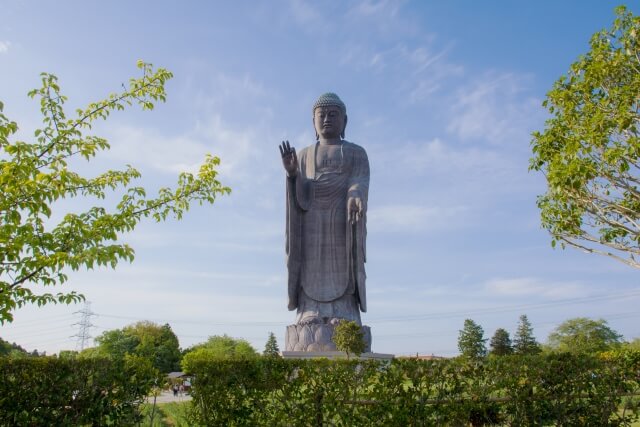 牛久大仏のふれあい動物公園がまるでウサギの楽園 小動物公園も癒しのスポット 牛久市 茨城観光 グルメ情報ブログ イバトリ