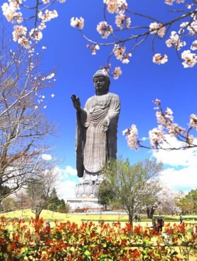 牛久大仏の桜と芝桜の景色は極楽浄土 ランチで食べたお蕎麦がおすすめ 茨城観光 グルメ情報ブログ イバトリ