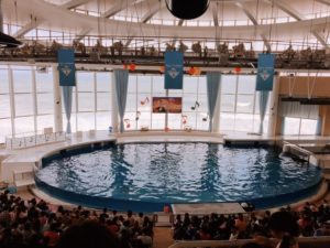 アクアワールド 大洗水族館