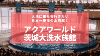 大洗水族館 おすすめ 口コミ 評判