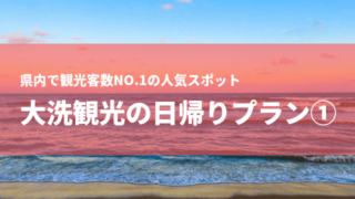 大洗 日帰り プラン グルメ