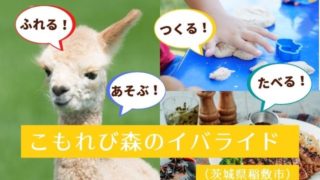こもれび森のイバライド 割引 稲敷市
