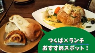 つくば ランチ おしゃれ おすすめ