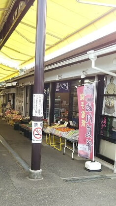 牛久大仏 桜 芝桜 仲見世