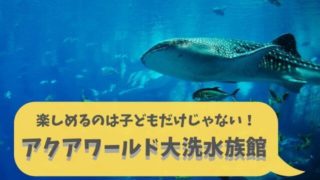 アクアワールド茨城県 大洗水族館 料金 ガイド