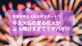 牛久大仏 高さ 花火 ライトアップ
