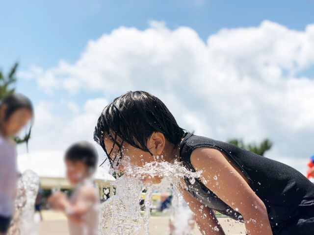 国営ひたち海浜公園 コキアの現在は 夏のライトアップもおすすめ 茨城観光 グルメ情報ブログ イバトリ