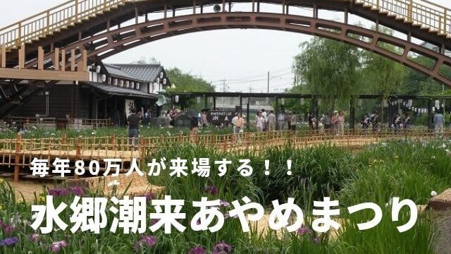 水郷潮来あやめまつり 21年の見頃や日程は 園内現地レポート 茨城観光 グルメ情報ブログ イバトリ