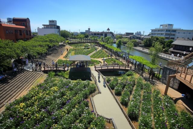 水郷潮来あやめまつり