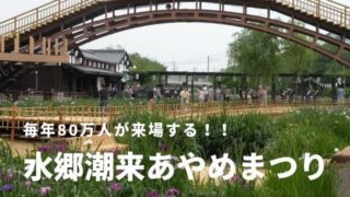 水郷潮来あやめまつり 潮来