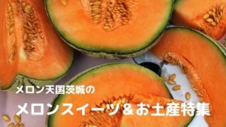 茨城 鉾田市 メロン スイーツ