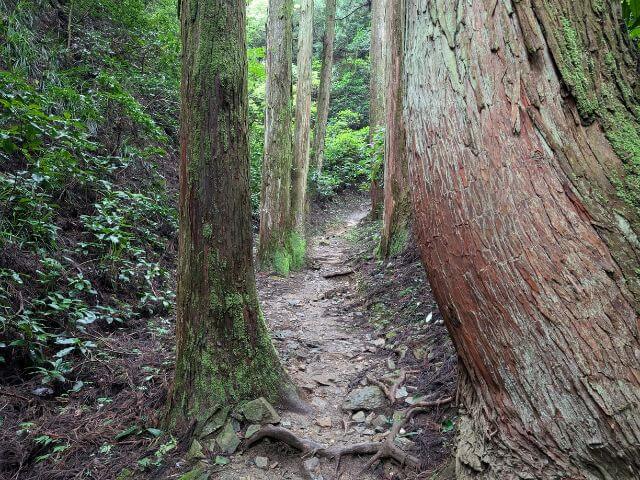 御岩神社　山登り　表参道　山道