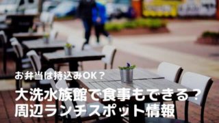 大洗水族館 食事