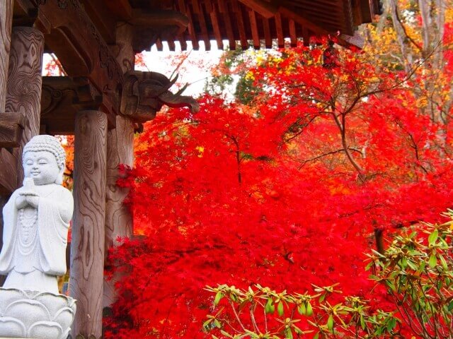 永源寺 もみじ寺 21年の見頃と現在の様子 大子町にある茨城屈指の紅葉の名所 茨城観光 グルメ情報ブログ イバトリ