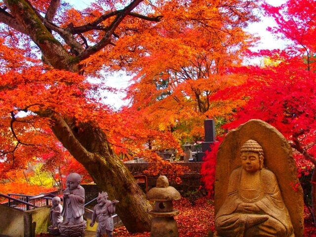 永源寺 もみじ寺 21年の見頃と現在の様子 大子町にある茨城屈指の紅葉の名所 茨城観光 グルメ情報ブログ イバトリ