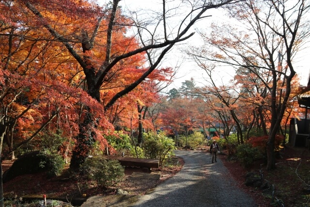 筑波山の紅葉 混雑状況や見頃時期は 21年のもみじまつりとライトアップ 茨城観光 グルメ情報ブログ イバトリ