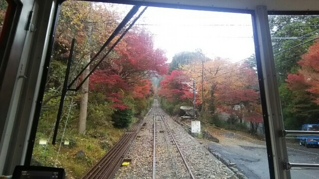 筑波山の紅葉 混雑状況や見頃時期は 年のもみじまつりとライトアップ 茨城観光 グルメ情報ブログ イバトリ