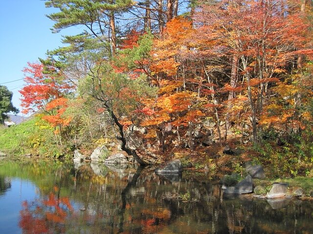 竜神大吊橋の紅葉 21年の見頃と混雑情報 竜神峡紅葉まつり の渋滞を回避するなら 茨城観光 グルメ情報ブログ イバトリ