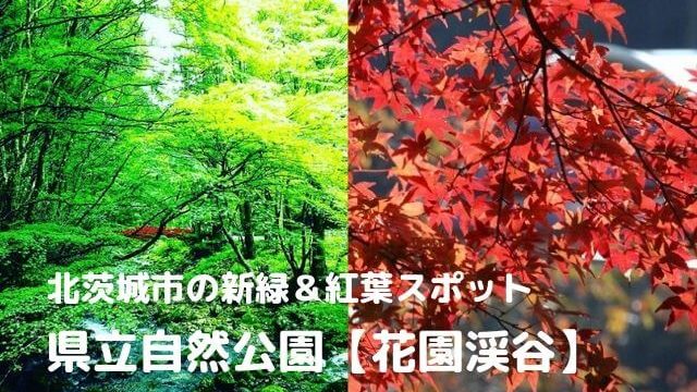 花園渓谷は紅葉 新緑の人気スポット 年の見頃や駐車場情報 おすすめ宿まで紹介 茨城観光 グルメ情報ブログ イバトリ