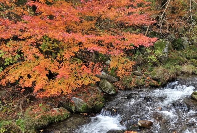 花園渓谷は紅葉 新緑の人気スポット 22年の見頃や駐車場情報 おすすめ宿まで紹介 茨城観光 グルメ情報ブログ イバトリ