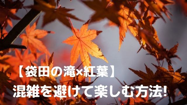 袋田の滝 紅葉 見頃はいつ 21年の基本情報や見所おすすめのプランも紹介 茨城観光 グルメ情報ブログ イバトリ